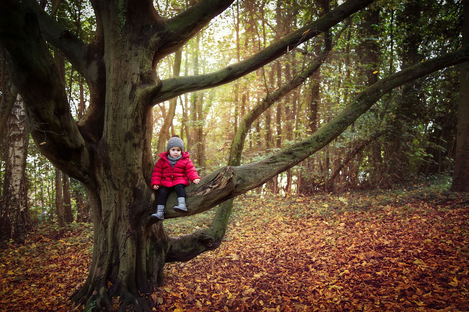 Tânia Flores Photography Kind auf dem Baum